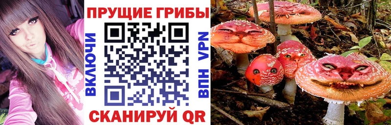 Псилоцибиновые грибы мухоморы  Партизанск 