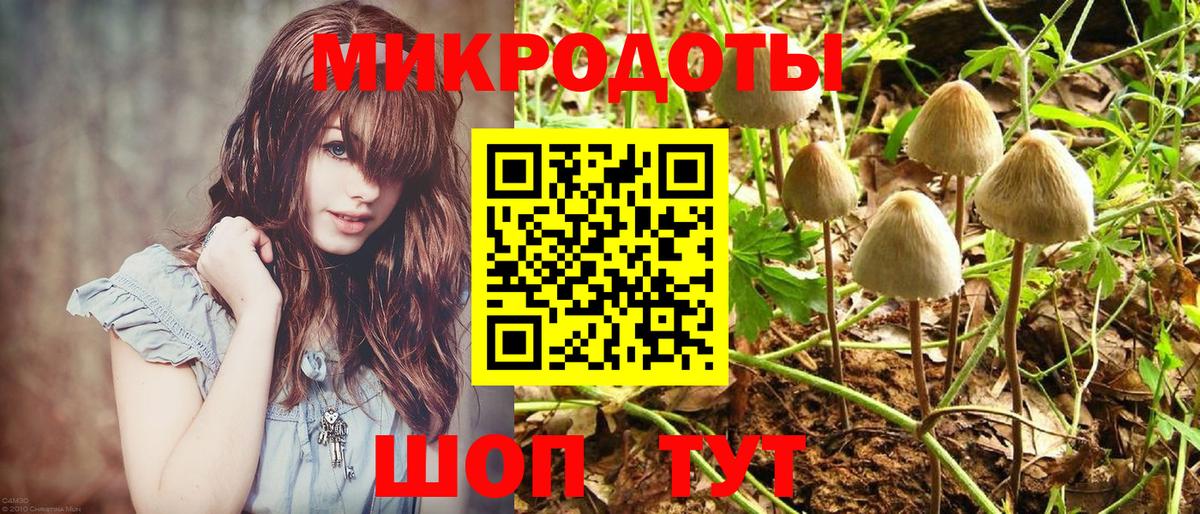 Партизанск  Псилоцибиновые грибы GOLDEN TEACHER  Вход с VPN 